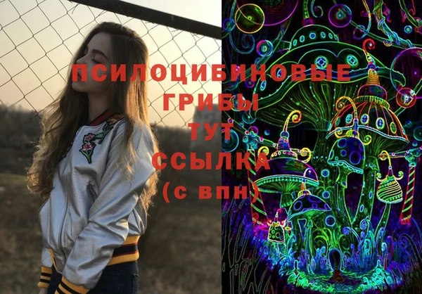 2c-b Богородицк